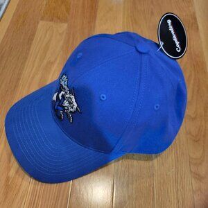 NWT UK hat